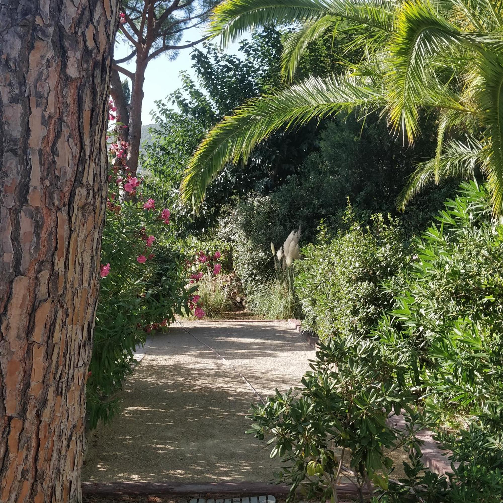 Hotel La Beluga Sainte-Maxime Exterior foto
